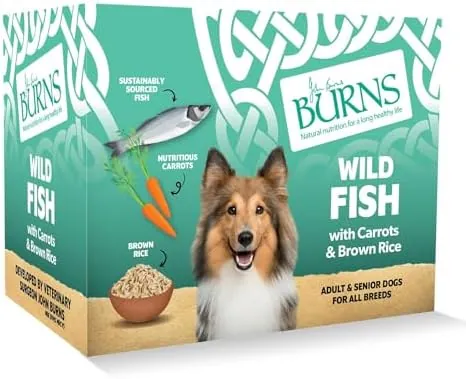 Burns Pet Natural Nutrition Adult & Senior Wet Dog Food Wild Fish, Carrots & Wholegrain Brown Rice 6 x 395gm