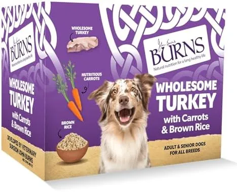 Burns Pet Nutrition Natural Wet Dog Food For Adult and Senior Dogs – Wholesome Turkey and Potato 6 x 395 g