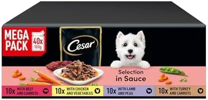 CESAR Adult Dog Pouches Sauce Selection in Gravy 40x100g